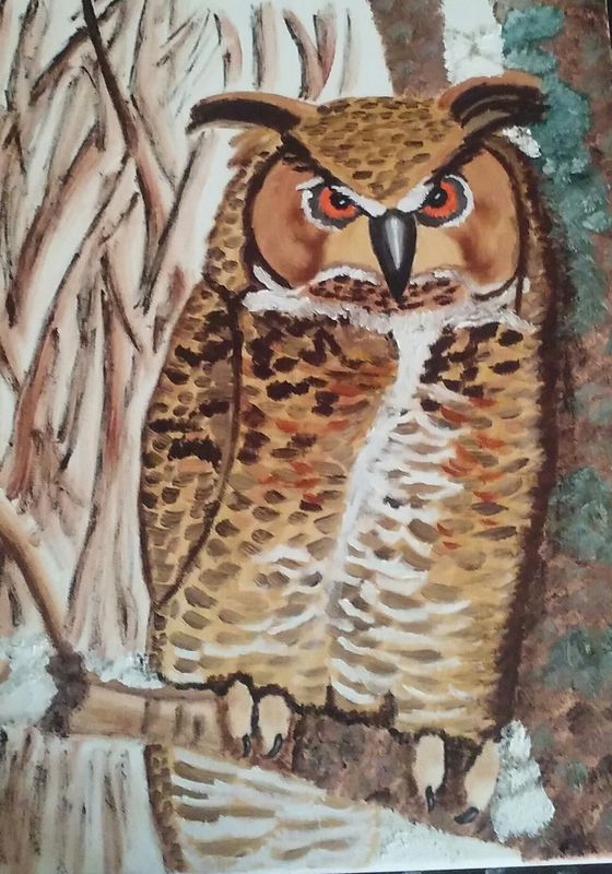 Horned Owl