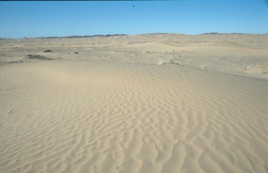 SAND