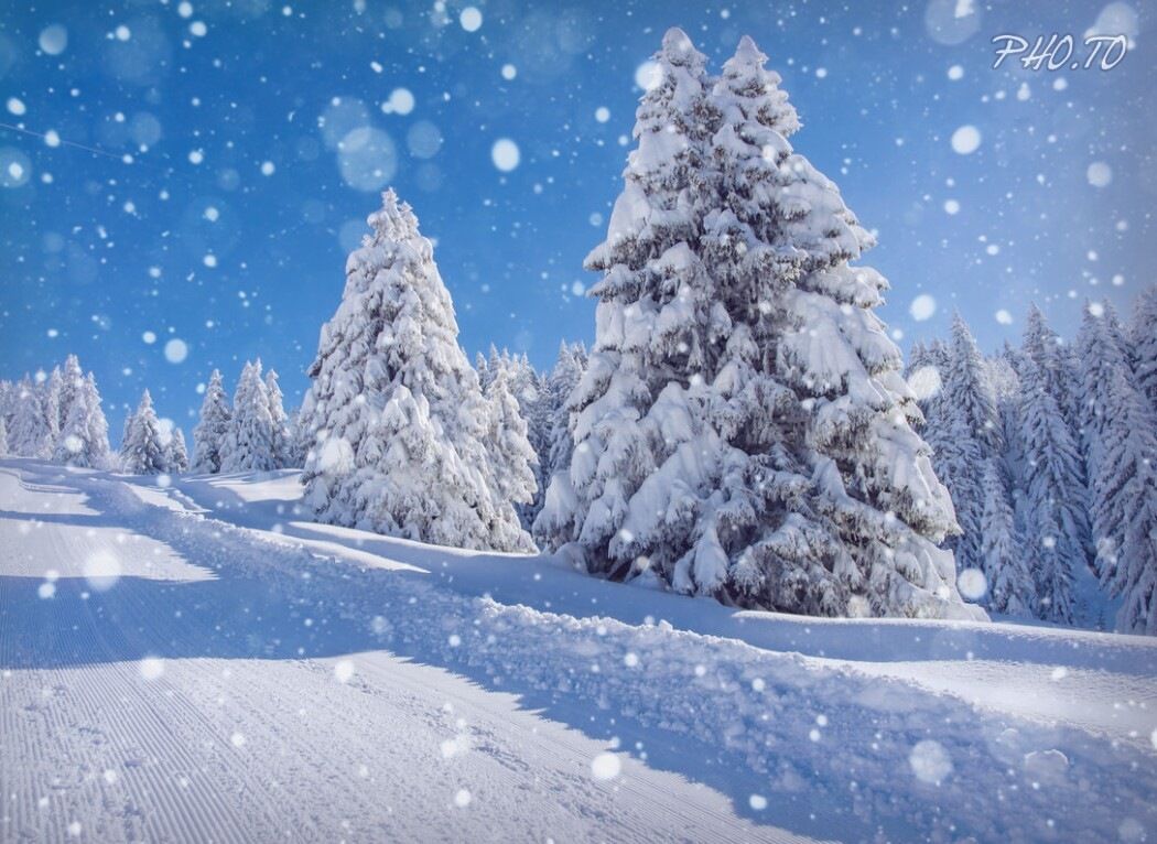 A Winters Tale