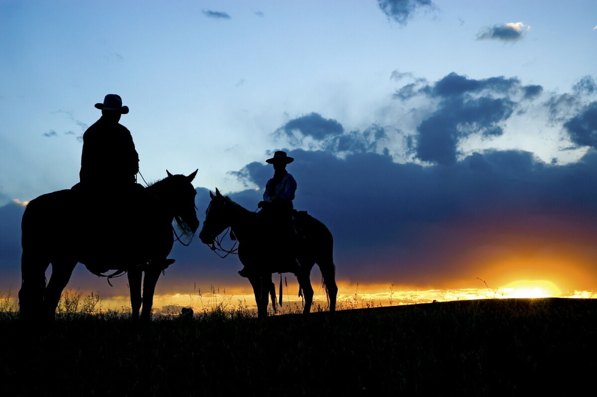 Cowboys Where Are You?