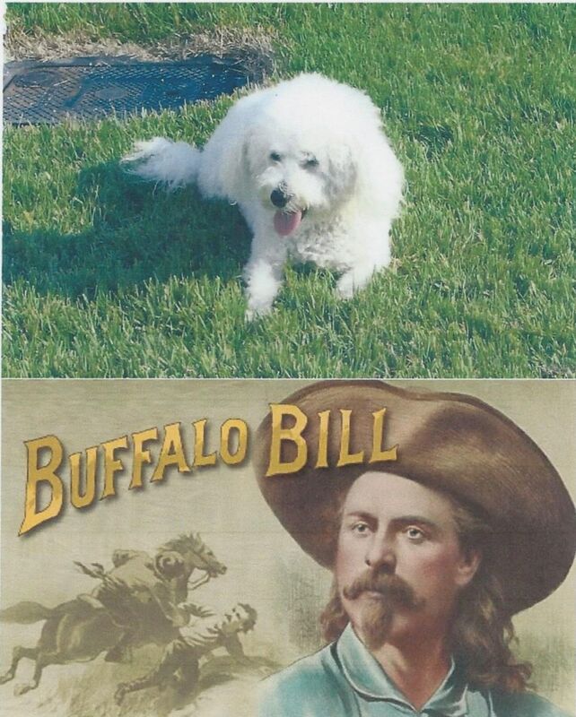 Buffalo Bill And Cody