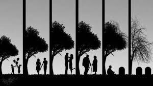 My Poetic Life