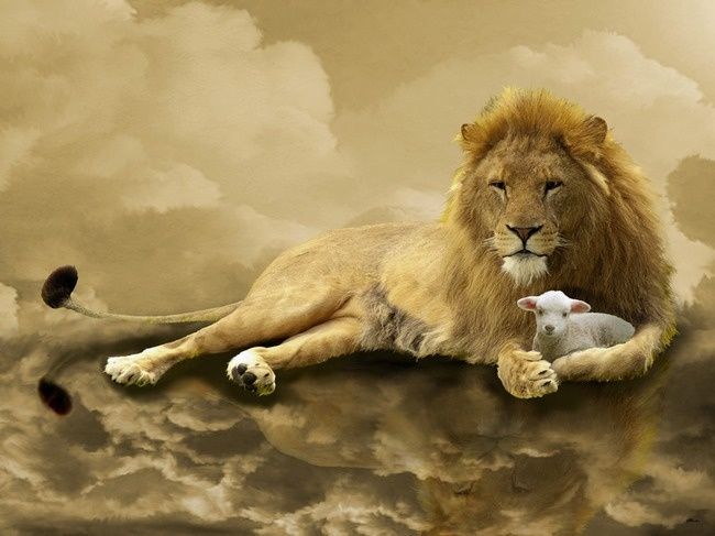 THE LAW AND THE NEW COVENANT THE LAW AND THE NEW COVENANT