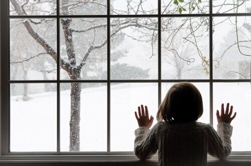 The Young Girl in the Window