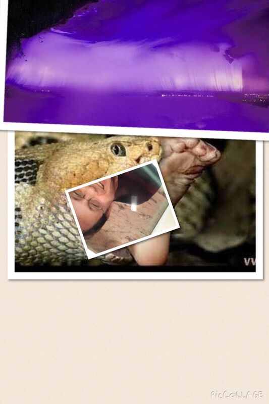 The story of Jai & purple This photo is not photoshopped