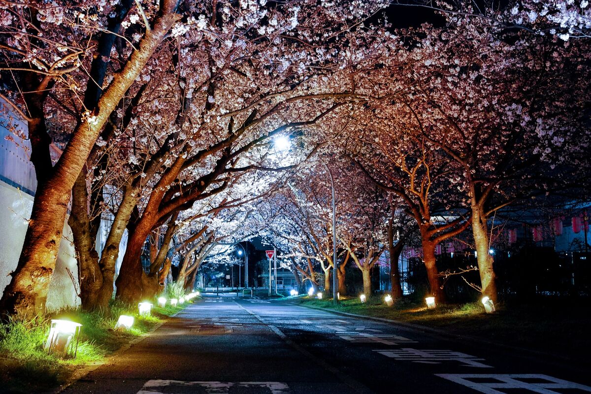 Resolute Street