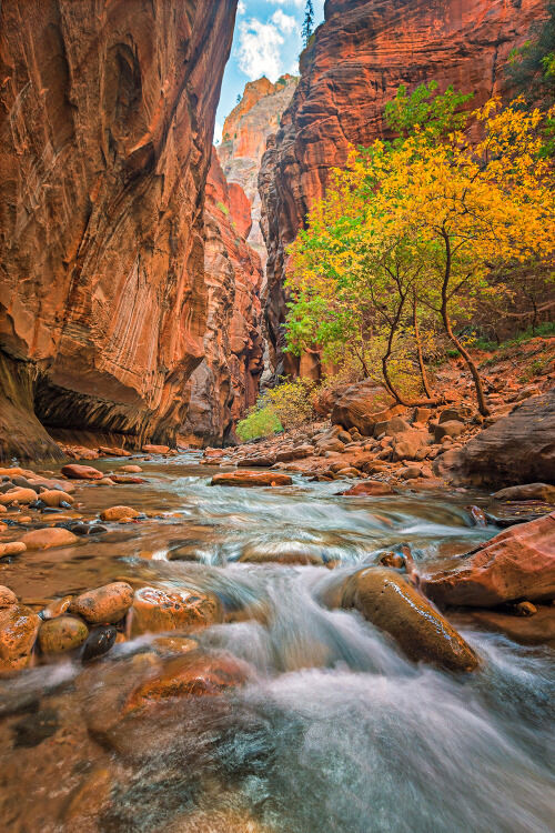 " A RIVER ALIVE "