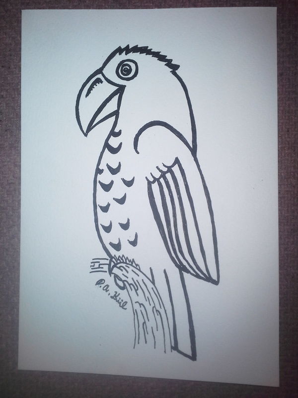 Parakeet! 