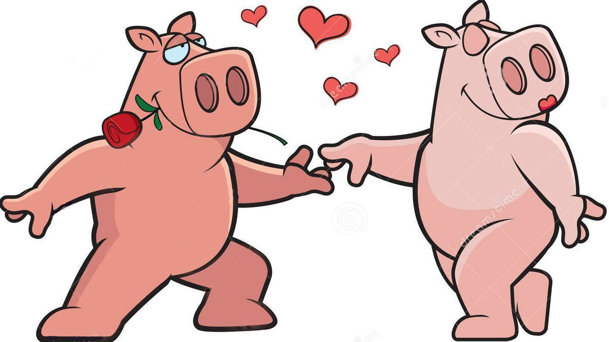 Mr. & Mrs. Hamuel Porkington