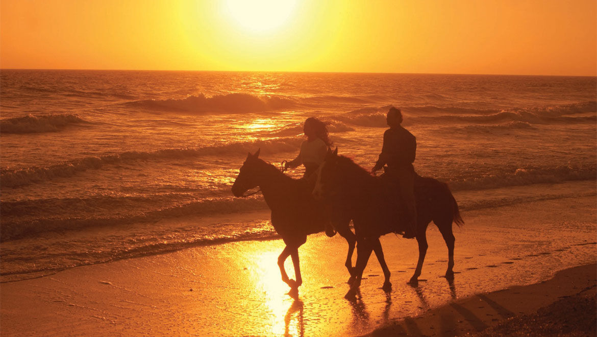 Love Is A Bumpy Ride
