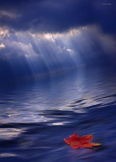 Soul Adrift