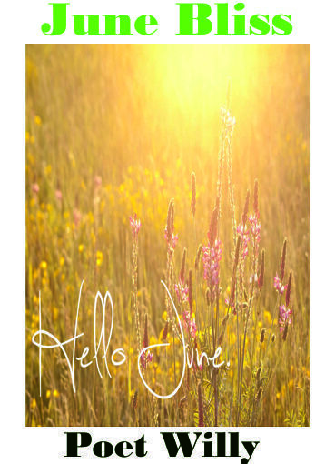 JUNE BLISS: DAY 8 POET WILLY WRITES, WHEN THE SILENCE IS TOO LOUD