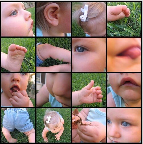 Body Parts