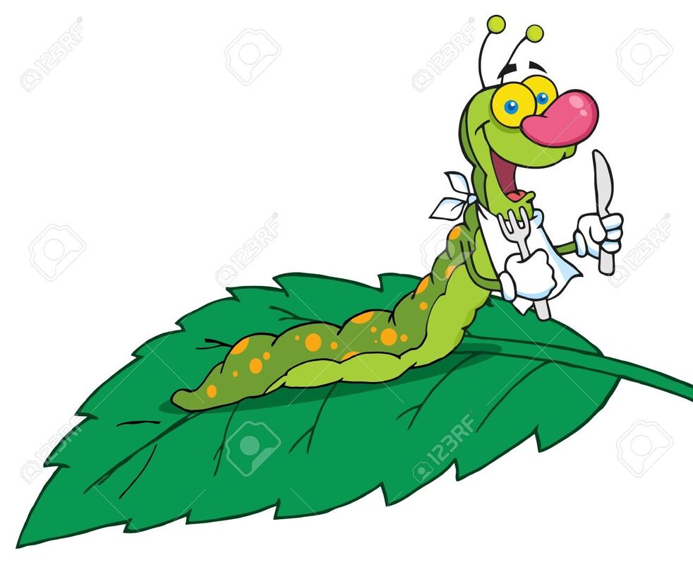 ME AND MY CATERPILLAR