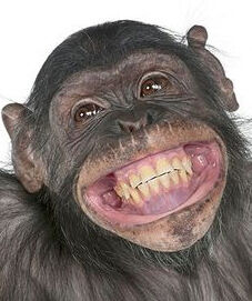 Smile Smile Smile