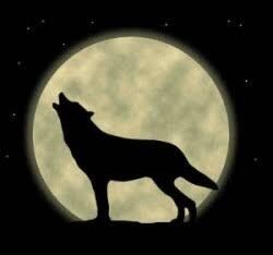 Dog moon bark