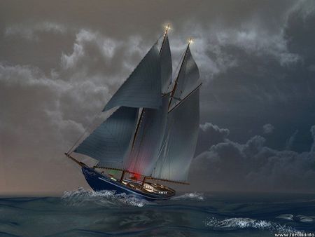 THE COURAGEOUS SAILOR