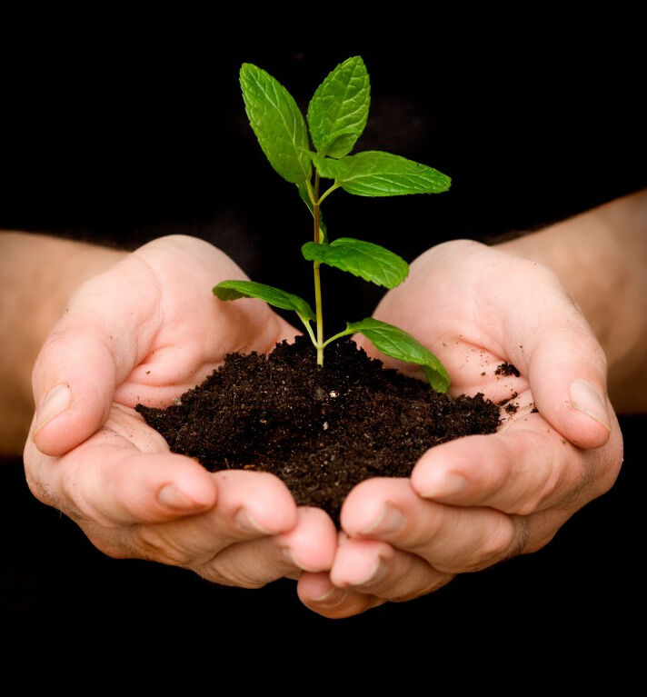 Each Generation Plants A Tree