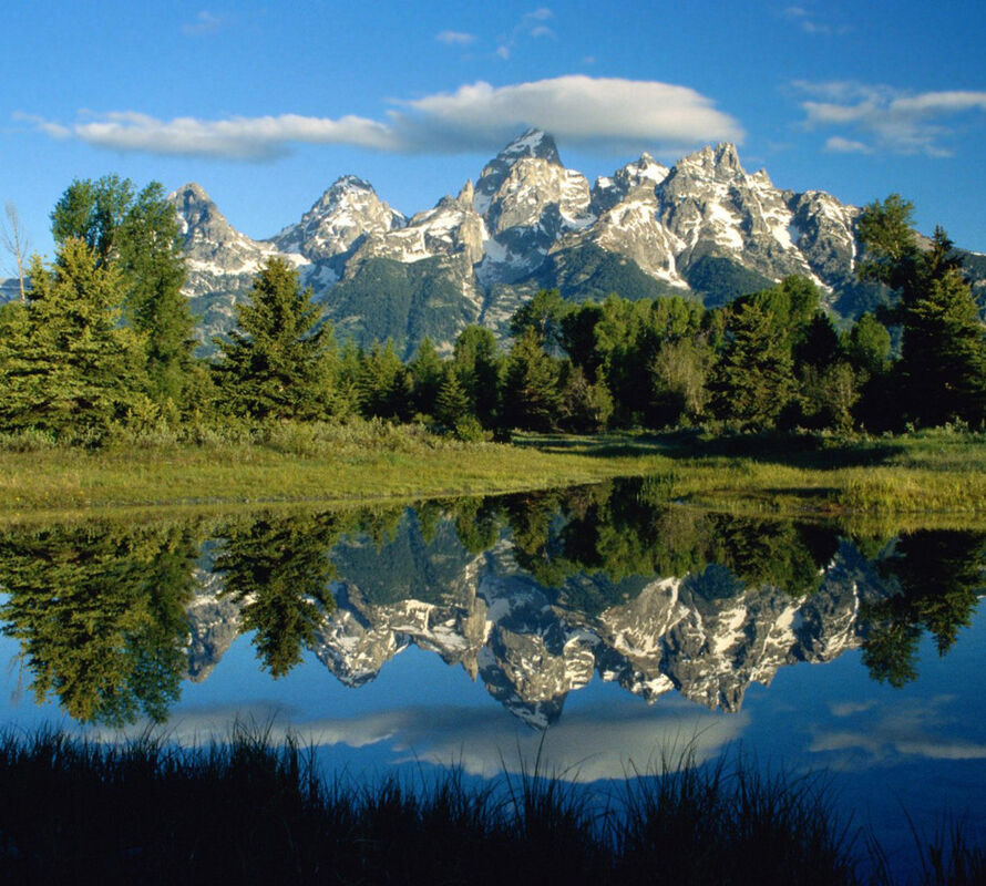 Reflections