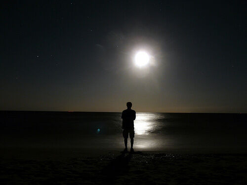 "THE PHYSICIST'S MOONLIGHT BALLET"