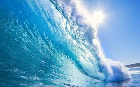The Ocean 