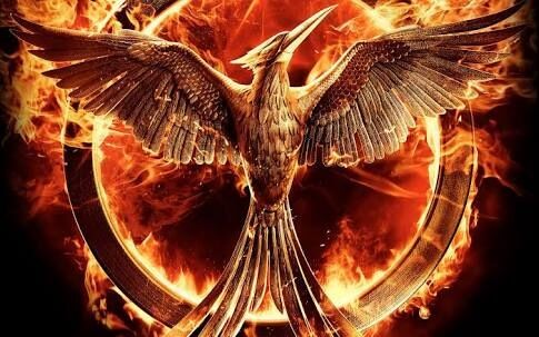 He's my mocking-jay