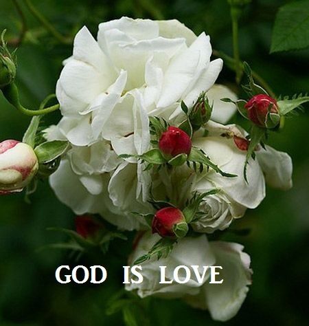 LOVE ONE ANOTHER