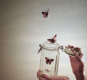 Catching Butterflies