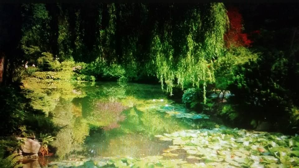 AT ONE WITH NATURE