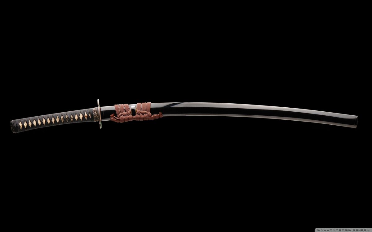 " THE INEXPLICABLE SAMURAI SWORD "