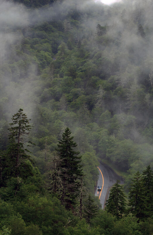 Dark Roads 