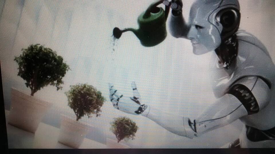 CONFORM TO SOCIETY / OR TO LIVE THE DREAM ( A THOUGHT)
