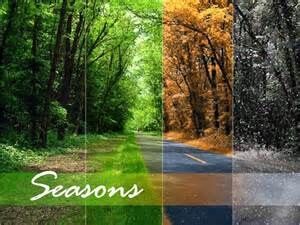 All Seasons