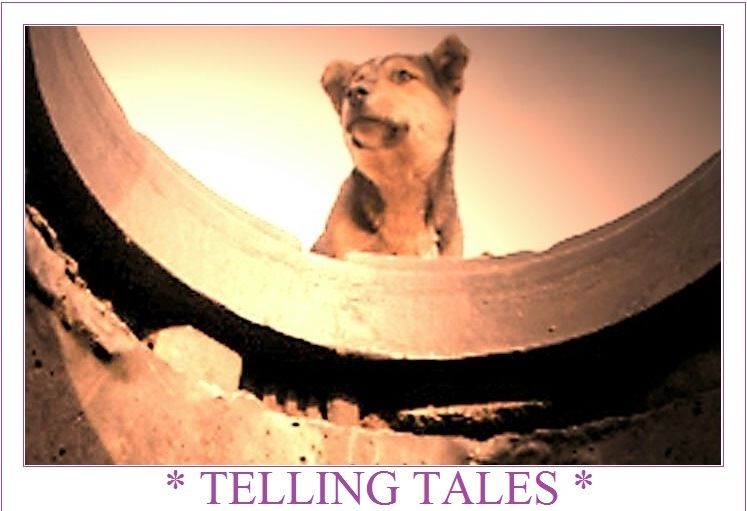 Telling Tales Telling Tales