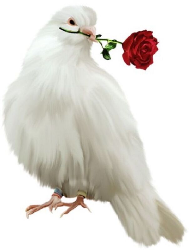 LOVE ALWAYS GIVES!
