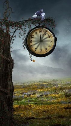 " ON TIME "