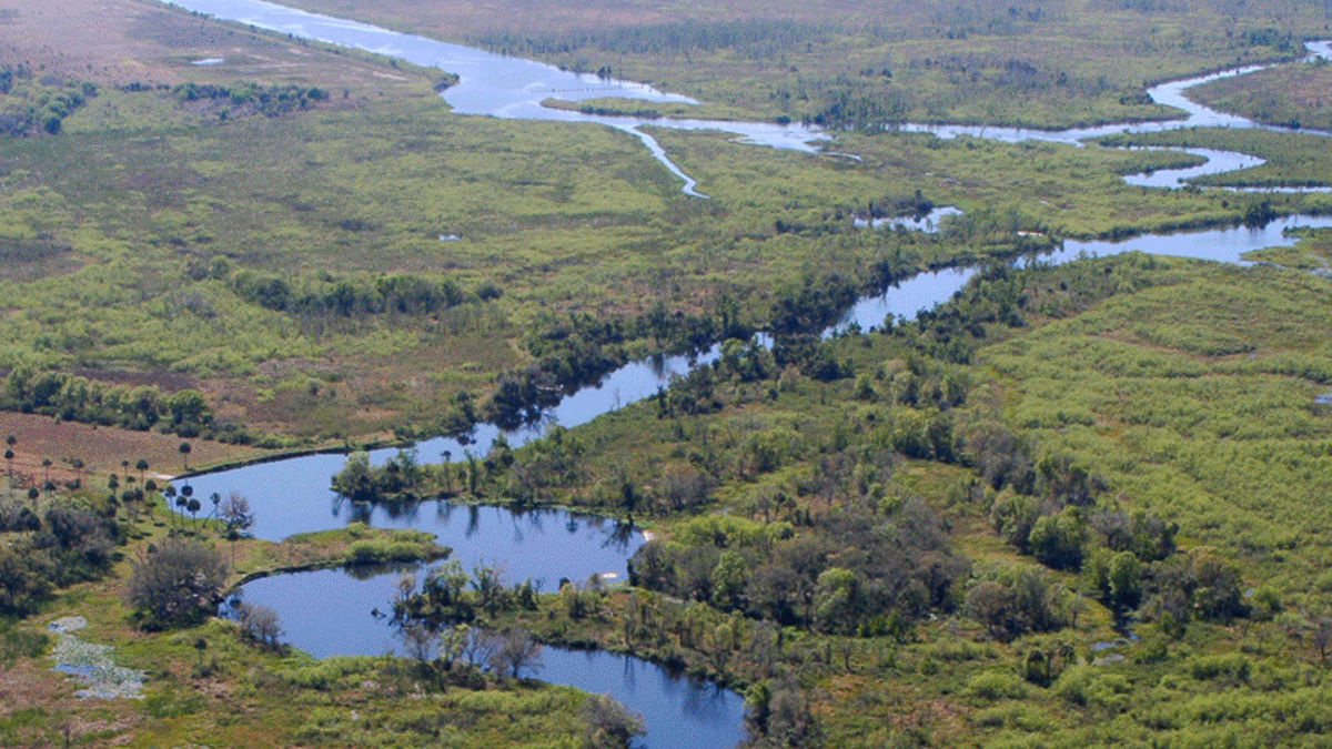 Blue-Eyed River Blue-Eyed River
