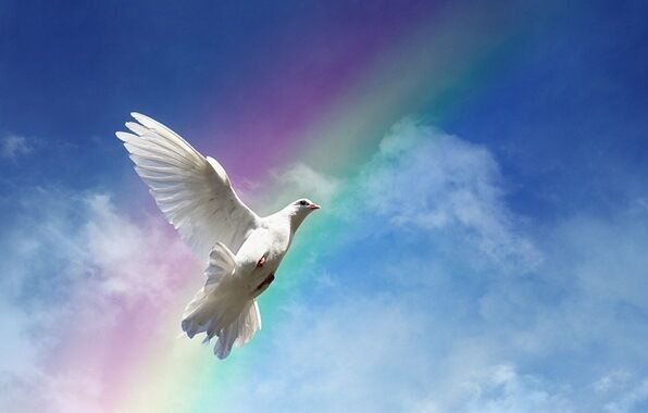 THE SPIRIT OF JESUS