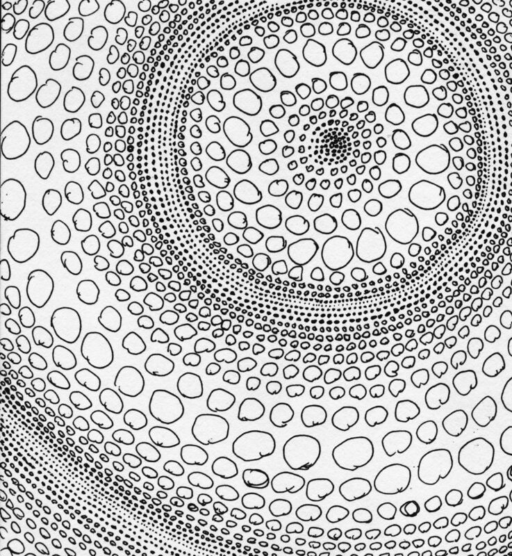 The Bubble