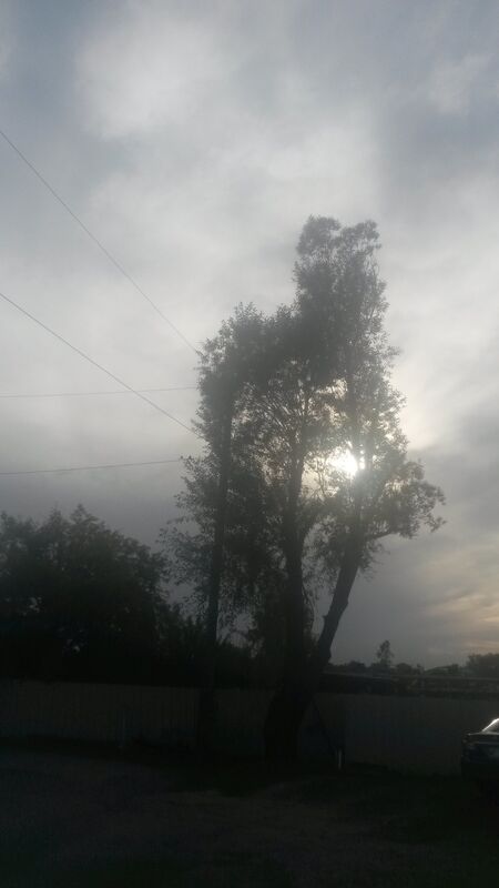 The Old Soul of a Truth Seeker