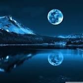 A little bloom of moonlight