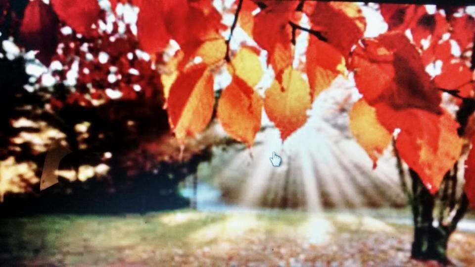 WELCOMING AUTUMN