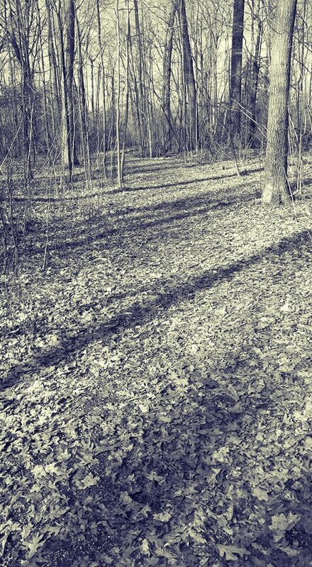 Walking with a stranger
