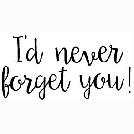 Never Forget 9/11