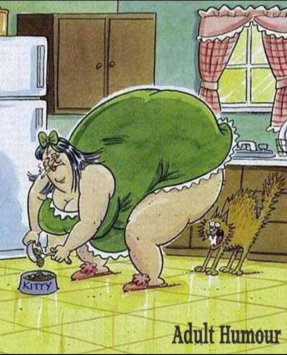 " Scaredey Cat !"