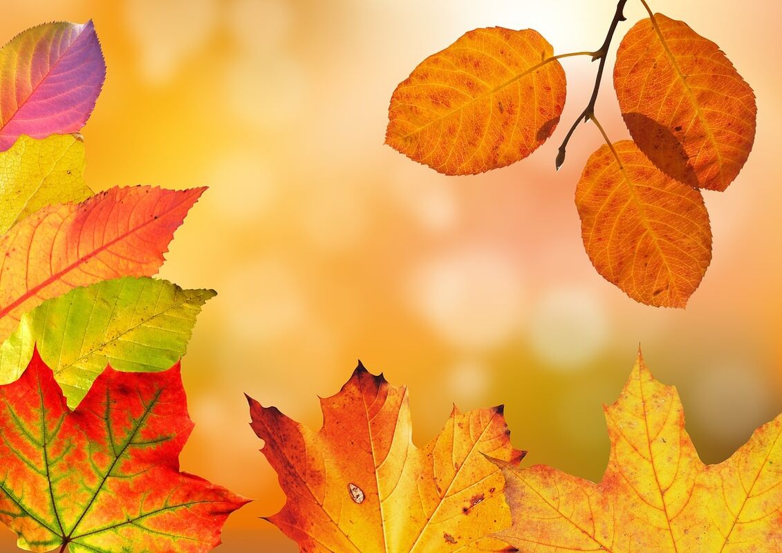 The Falling of Fall