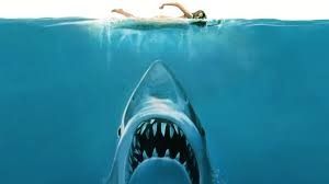 Shark Tank