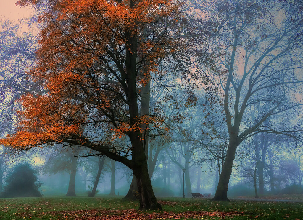 Autumn's End