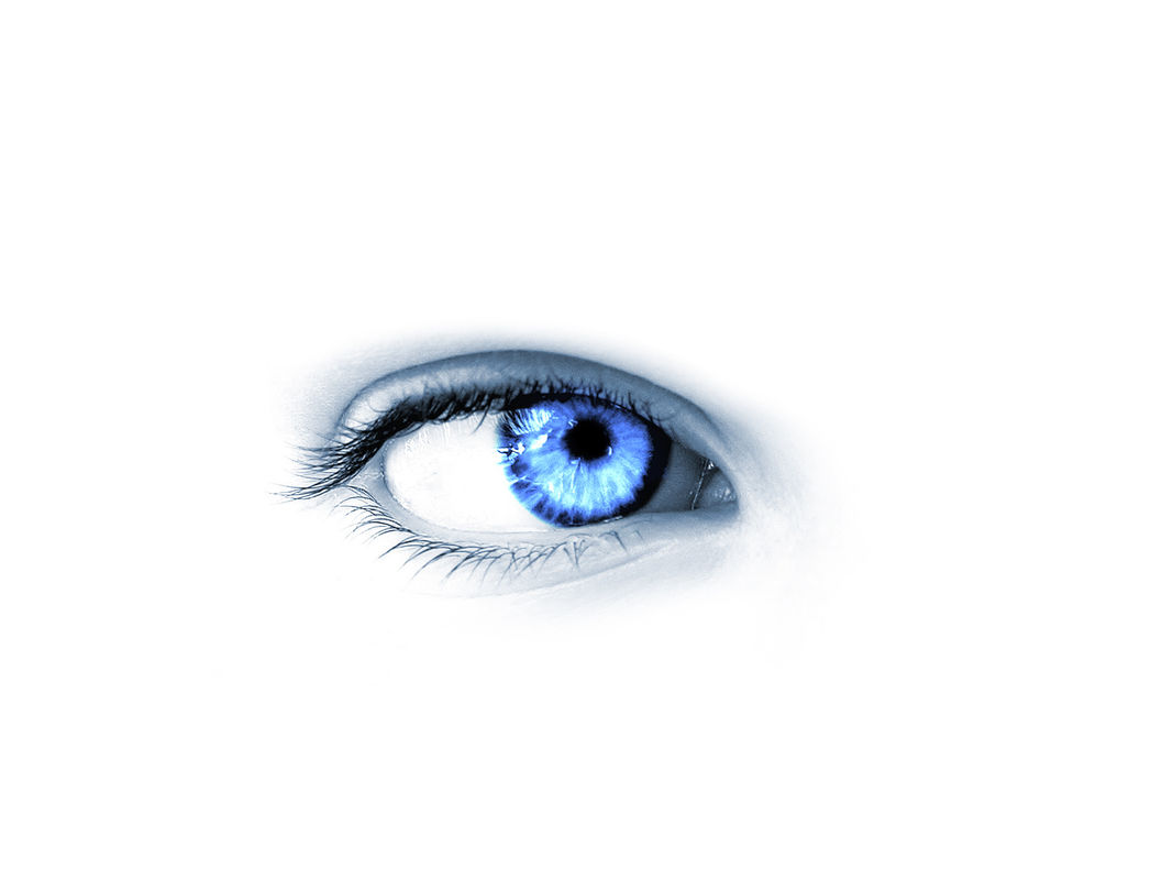 THE HUMAN EYE! THE HUMAN EYE!
