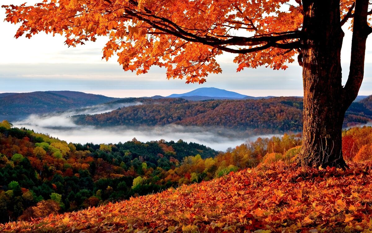 AUTUMN IS UPON US